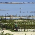 farming_seaweed_nlem_v_0768_bal4065.jpg